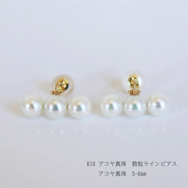 数粒 真珠 ピアス 数粒真珠 ラインピアス あこや真珠 ピアス 5-6ｍｍ