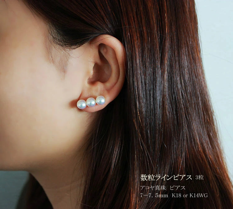 Several grain line Akoya pearl earrings 7-7.5mm K18YGorK14WG earrings