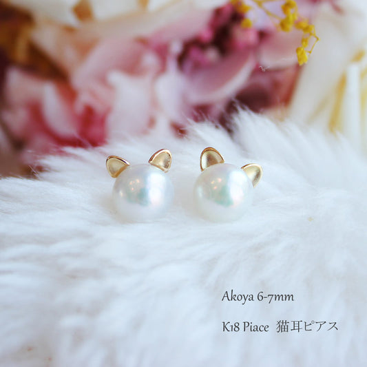 Akoya pearl earrings K18YG cat ears pearl earrings akoya piace cute pearl earrings