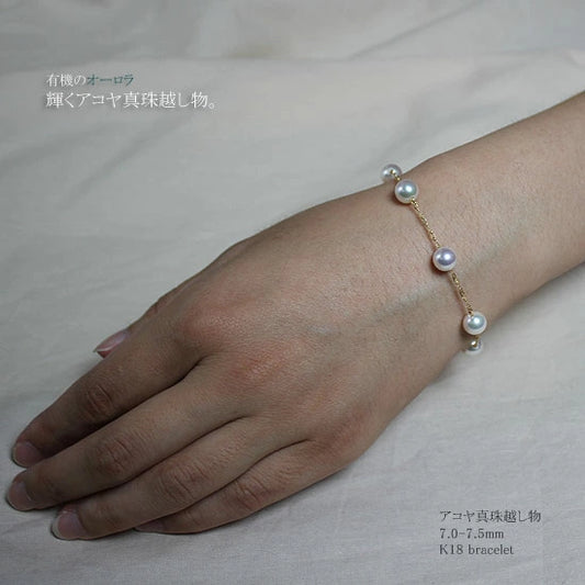 <tc>Akoya pearl bracelet [Akoya pearl 7-7.5mm] [Pearl station bracelet] K18YG [Yellow gold] K14WG [White gold] [Pearl] [Akoya pearl] Bracelet [Bracelet] [Pearl]</tc>